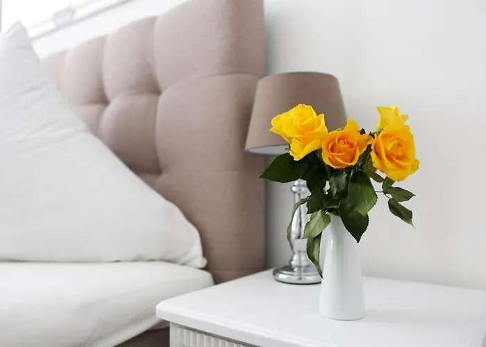 Sc 08 By Rockchair L Cozy 3 Sz 2 Baeder Balkon * Berlin